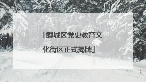 鲤城区党史教育文化街区正式揭牌