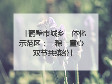 鹤壁市城乡一体化示范区：一粽一童心 双节共缤纷