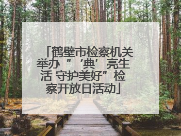 鹤壁市检察机关举办“‘典’亮生活 守护美好”检察开放日活动