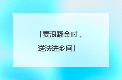 麦浪翻金时，送法进乡间