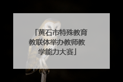 黄石市特殊教育教联体举办教师教学能力大赛