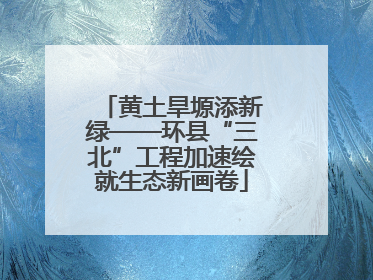 黄土旱塬添新绿——环县“三北”工程加速绘就生态新画卷