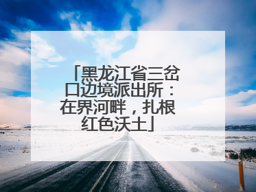 黑龙江省三岔口边境派出所：在界河畔，扎根红色沃土