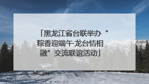 黑龙江省台联举办“粽香迎端午·龙台情相融”交流联谊活动
