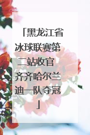 黑龙江省冰球联赛第二站收官 齐齐哈尔兰迪一队夺冠