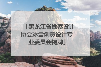 黑龙江省勘察设计协会冰雪创意设计专业委员会揭牌