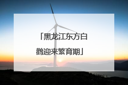 黑龙江东方白鹳迎来繁育期