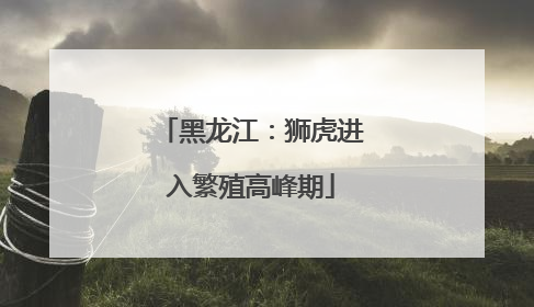 黑龙江：狮虎进入繁殖高峰期