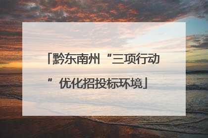 黔东南州“三项行动”优化招投标环境