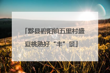黟县碧阳镇五里村盛夏桃熟好“丰”景