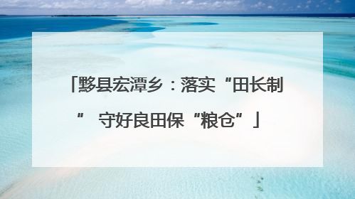 黟县宏潭乡：落实“田长制” 守好良田保“粮仓”