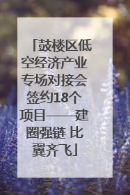 鼓楼区低空经济产业专场对接会签约18个项目——建圈强链 比翼齐飞