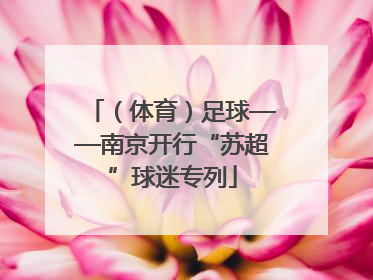 （体育）足球——南京开行“苏超”球迷专列