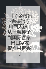 （乡村行·看振兴）山西天镇：从一粒种子到国际餐桌 出口富农促乡村振兴