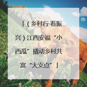 （乡村行·看振兴）江西安福“小西瓜”撬动乡村共富“大支点”