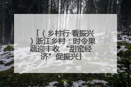 （乡村行·看振兴）浙江乡村：时令果蔬迎丰收 “甜蜜经济”促振兴