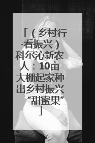 （乡村行·看振兴）科尔沁新农人：10亩大棚起家种出乡村振兴“甜蜜果”