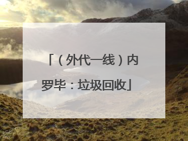 （外代一线）内罗毕：垃圾回收