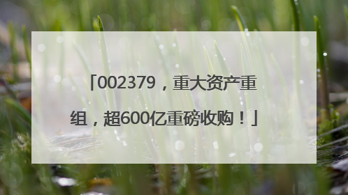 002379，重大资产重组，超600亿重磅收购！