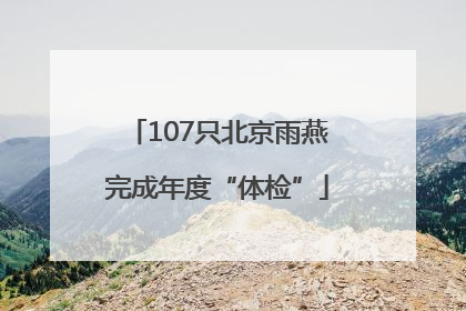 107只北京雨燕完成年度“体检”