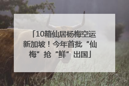 10箱仙居杨梅空运新加坡！今年首批“仙梅”抢“鲜”出国