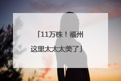 11万株！福州这里太太太美了