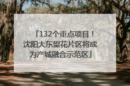 132个重点项目！沈阳大东望花片区将成为产城融合示范区