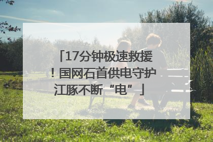17分钟极速救援！国网石首供电守护江豚不断“电”