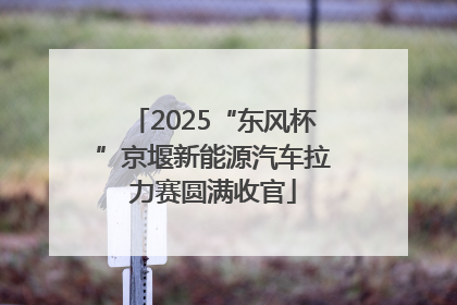2025“东风杯”京堰新能源汽车拉力赛圆满收官