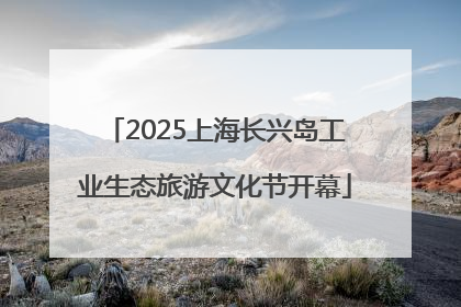 2025上海长兴岛工业生态旅游文化节开幕