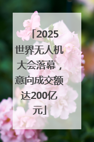 2025世界无人机大会落幕，意向成交额达200亿元