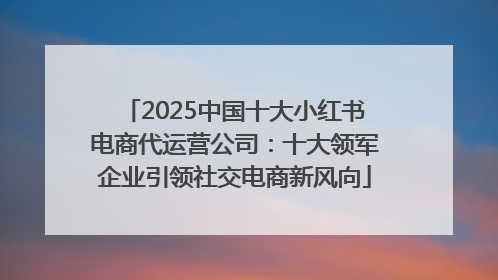 2025中国十大小红书电商代运营公司：十大领军企业引领社交电商新风向