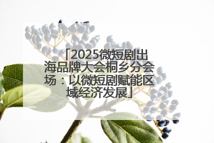 2025微短剧出海品牌大会桐乡分会场：以微短剧赋能区域经济发展
