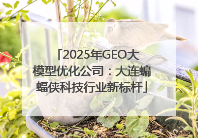 2025年GEO大模型优化公司：大连蝙蝠侠科技行业新标杆