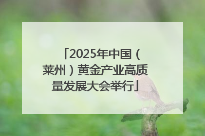 2025年中国（莱州）黄金产业高质量发展大会举行