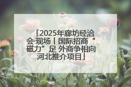 2025年廊坊经洽会·现场丨国际招商“磁力”足 外商争相向河北推介项目