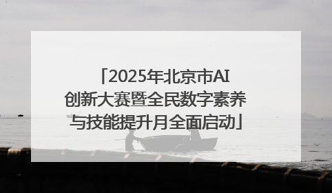 2025年北京市AI创新大赛暨全民数字素养与技能提升月全面启动