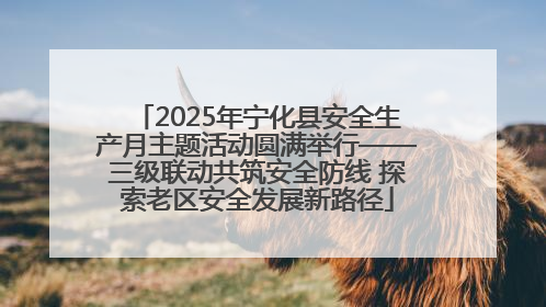 2025年宁化县安全生产月主题活动圆满举行——三级联动共筑安全防线 探索老区安全发展新路径