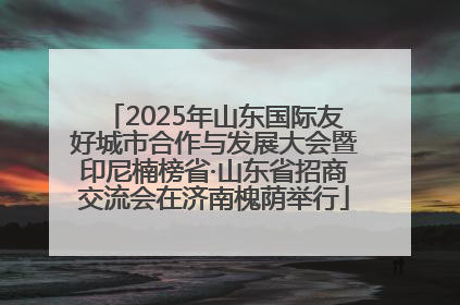 2025年山东国际友好城市合作与发展大会暨印尼楠榜省·山东省招商交流会在济南槐荫举行
