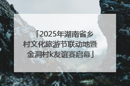 2025年湖南省乡村文化旅游节联动地暨金洞村k友谊赛启幕