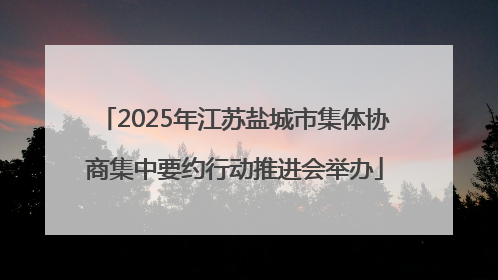 2025年江苏盐城市集体协商集中要约行动推进会举办