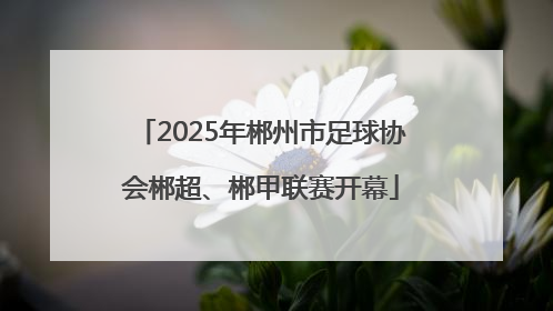 2025年郴州市足球协会郴超、郴甲联赛开幕