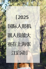 2025国际人形机器人技能大赛在上海张江启动