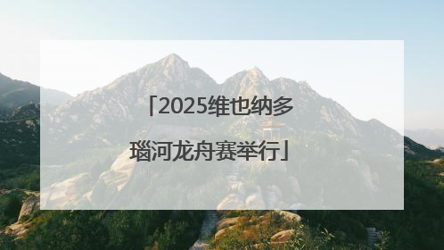 2025维也纳多瑙河龙舟赛举行