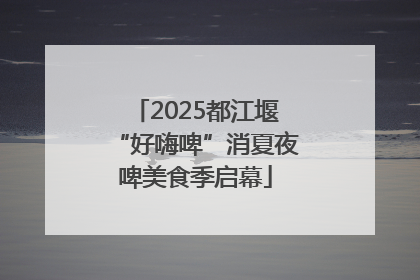 2025都江堰“好嗨啤”消夏夜啤美食季启幕
