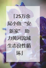 25万余尾小鱼“安新家” 助力黄河流域生态良性循环