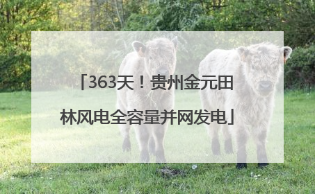 363天！贵州金元田林风电全容量并网发电