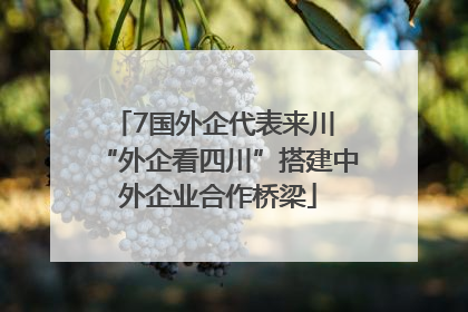 7国外企代表来川 “外企看四川”搭建中外企业合作桥梁