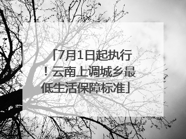 7月1日起执行！云南上调城乡最低生活保障标准