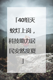 40组灭蚊灯上岗，科技助力居民安然度夏
